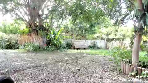 Snapshot of paoguerrax354 chatting on 19, 10, 2025 paoguerrax354 online show from 19, 10, 2025