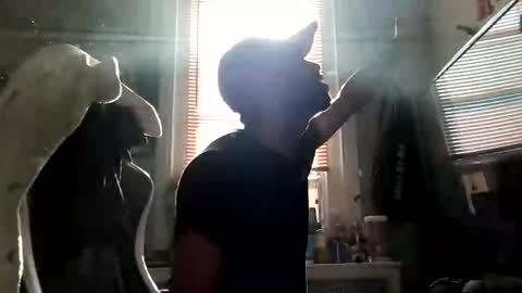 papian0 online show from 3, 12, 2025