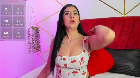 paris_evans_01 online show from 26, 11, 2025