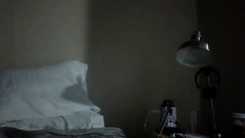 Snapshot of passionatesamurai chatting on 29, 12, 2024 hairy dadbod online show from 29, 12, 2024