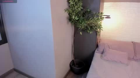 Patrick Brown online show from 19, 2, 2025