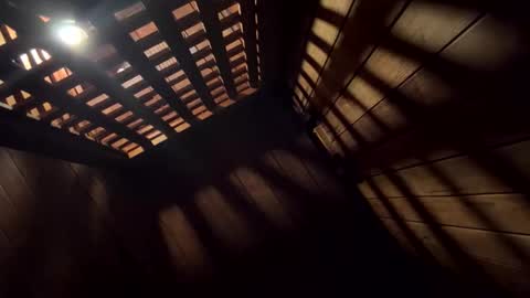 Snapshot of paul_longcut chatting on 18, 1, 2026 Paul Roland online show from 18, 1, 2026