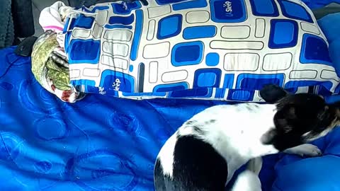 Snapshot of paula_willss chatting on 6, 1, 2025 paula_willss online show from 6, 1, 2025