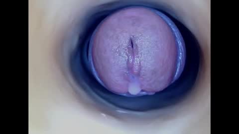 Paula 18 Aninhos online show from 12, 1, 2026