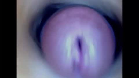 Paula 18 Aninhos online show from 23, 2, 2026