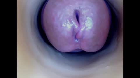 Paula 18 Aninhos online show from 1, 3, 2026