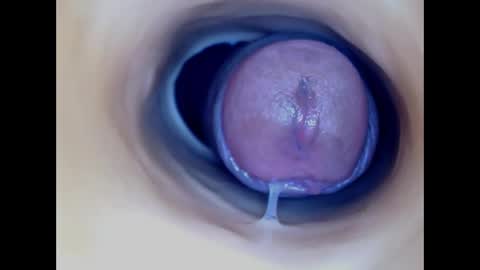 Paula 18 Aninhos online show from 2, 4, 2026