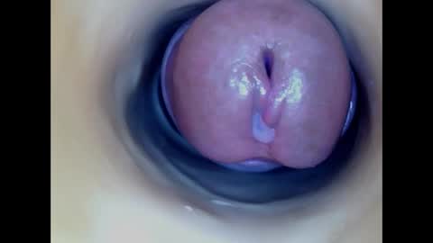 Paula 18 Aninhos online show from 13, 4, 2026