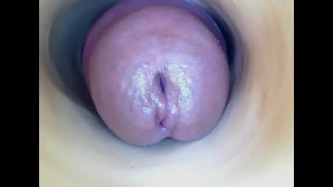 Paula 18 Aninhos online show from 21, 4, 2026