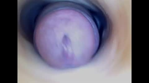 Snapshot of paulainoscente chatting on 15, 6, 2026 Paula 18 Aninhos online show from 15, 6, 2026