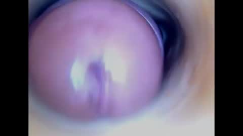 Paula 18 Aninhos online show from 20, 7, 2026