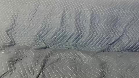 paupam online show from 26, 1, 2025