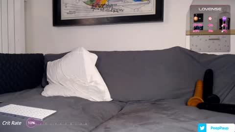 Paup online show from 13, 12, 2024