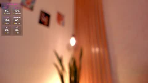 Dani online show from 6, 7, 2026