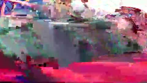 Coco channel  online show from 20, 12, 2024