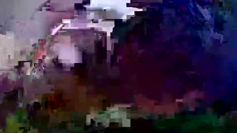 Coco channel  online show from 21, 12, 2024