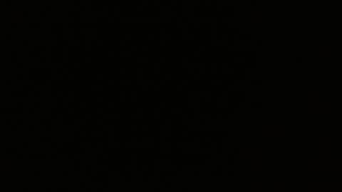 pearlatin online show from 22, 1, 2025