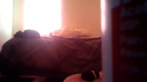 Snapshot of pebblessmith453 chatting on 10, 11, 2025 pebblessmith453 online show from 10, 11, 2025