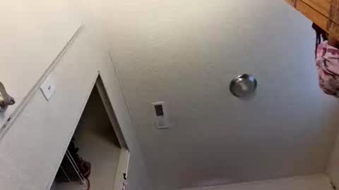 pebblessmith453 online show from 10, 1, 2026