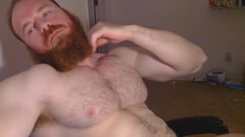 Snapshot of pec_inspector chatting on 30, 1, 2025 Pec inspector online show from 30, 1, 2025