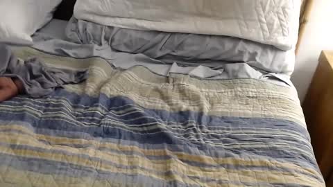 Snapshot of perdidobch chatting on 13, 12, 2024 perdidobch online show from 13, 12, 2024