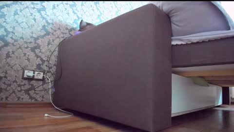 Snapshot of perfectdate chatting on 10, 12, 2024 Anna online show from 10, 12, 2024