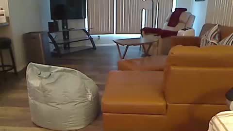 perfecto1957 online show from 24, 12, 2024