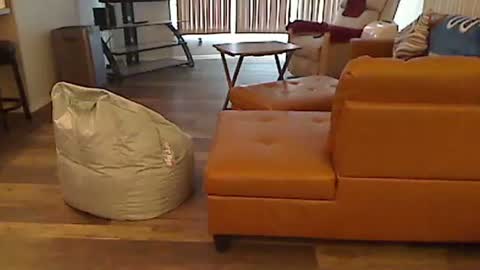 perfecto1957 online show from 5, 1, 2025