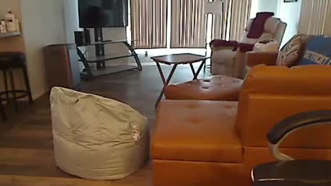 perfecto1957 online show from 13, 2, 2025