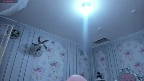 PERLA online show from 6, 3, 2025