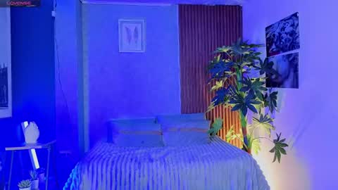  PERLA online show from 14, 6, 2026