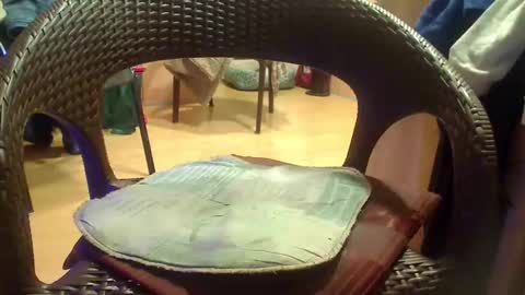 peta000007 online show from 4, 12, 2025