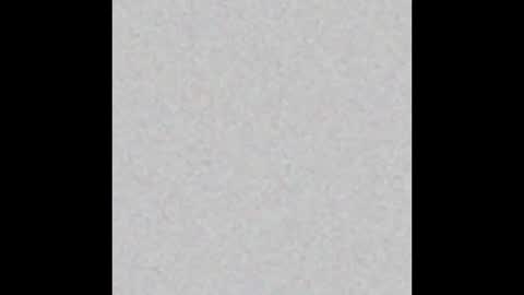 Maximus online show from 16, 2, 2025