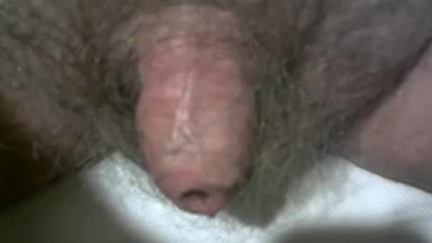 peterpeteropoulos online show from 7, 2, 2025