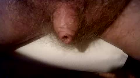 peterpeteropoulos online show from 3, 3, 2025