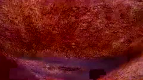 peterpeteropoulos online show from 20, 7, 2026