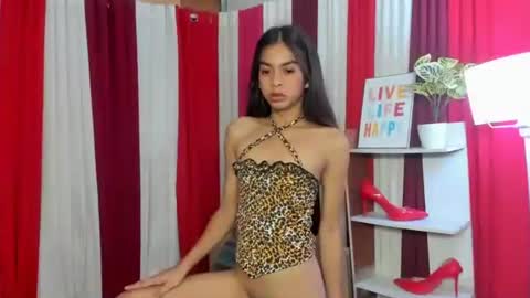 petitehorsycock online show from 27, 3, 2026