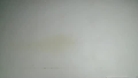 Snapshot of petitgirl88 chatting on 24, 6, 2026 petitgirl88 online show from 24, 6, 2026