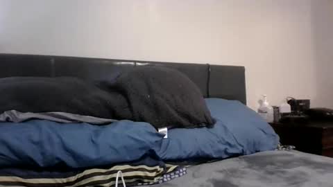 phantomfreakbbc online show from 10, 2, 2026