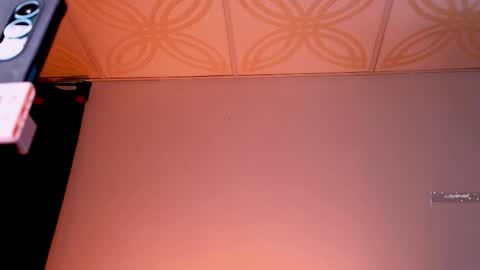 Snapshot of piafisher_2 chatting on 11, 4, 2026 Piafisher 2 online show from 11, 4, 2026