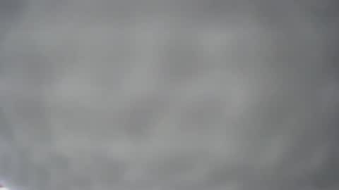 pichard18 online show from 13, 12, 2024