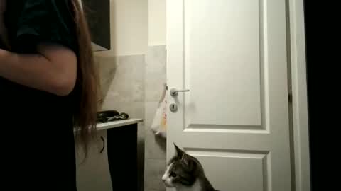 Moonie online show from 15, 12, 2025