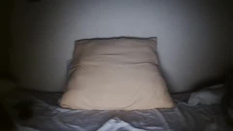 pieslatinos online show from 31, 1, 2025