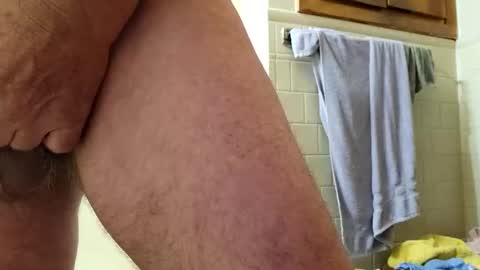 pigglywiggly9184100 online show from 11, 10, 2025