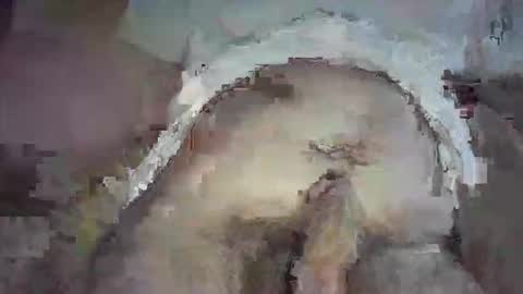 Snapshot of piggyplaypen chatting on 3, 6, 2026 piggyplaypen online show from 3, 6, 2026
