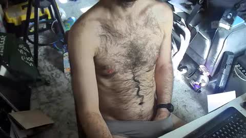 pigs_in_space online show from 11, 1, 2026