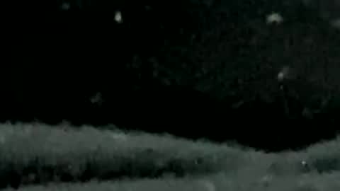 Snapshot of pilura chatting on 19, 7, 2026 pilura online show from 19, 7, 2026