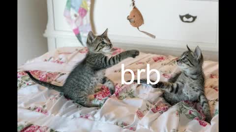 Kitty online show from 19, 10, 2025