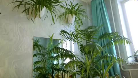 Tatyana online show from 11, 2, 2026