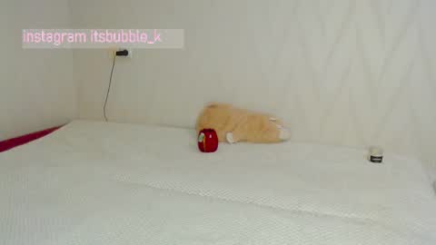 Pikachu pika online show from 4, 3, 2025